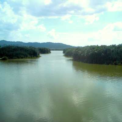 Perkhidmatan towing Chini dan Tasik Chini